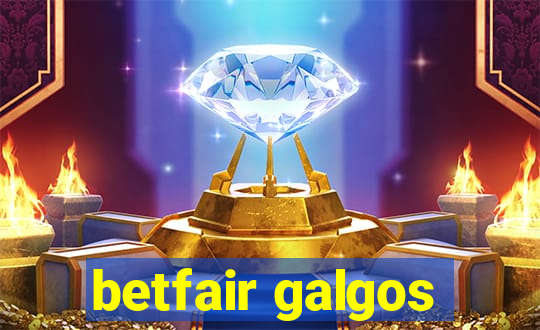 betfair galgos